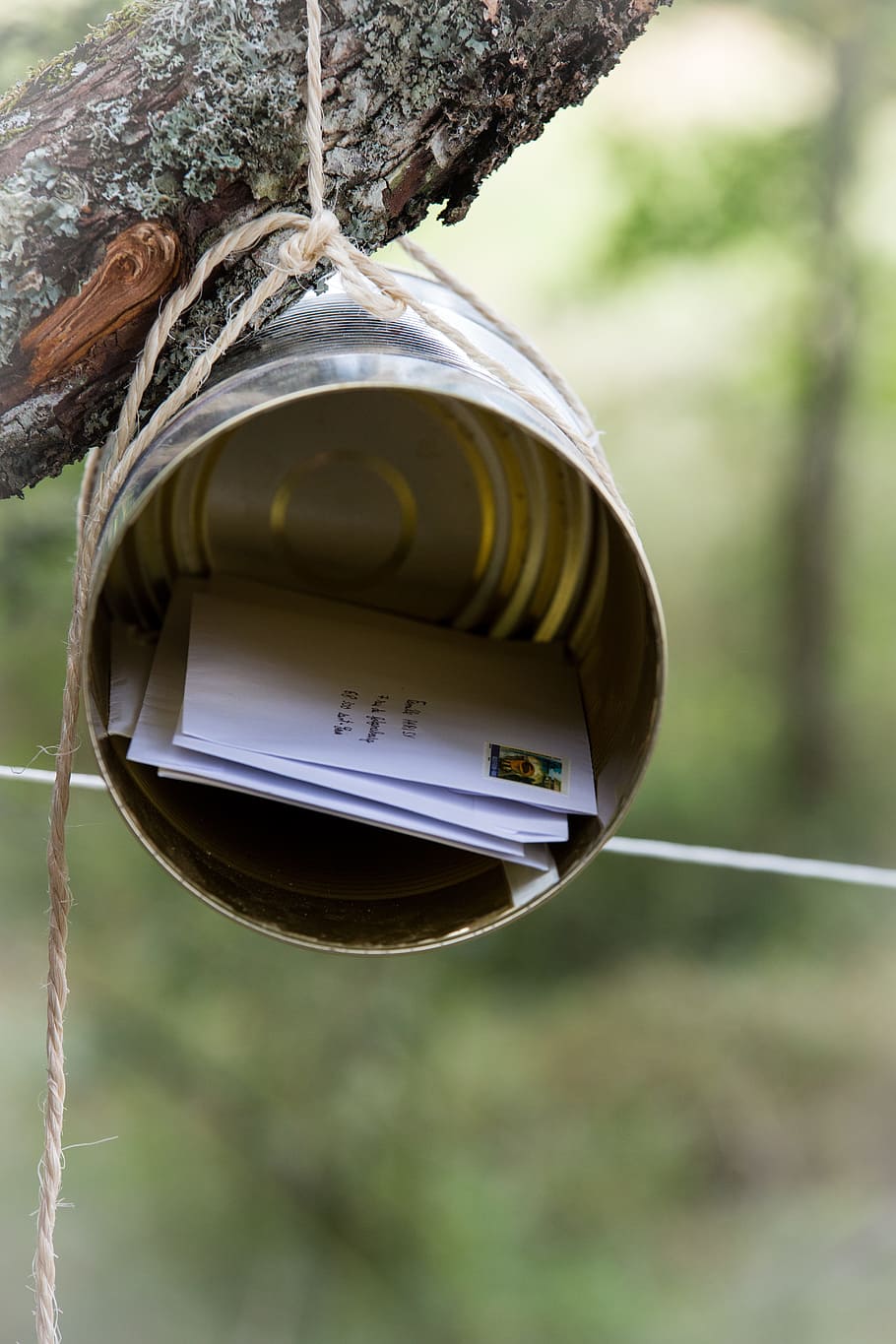 llauna de plata, correu electrònic, Caixa, exploració, eines, naturalesa, campament, festa, bústia, diy, rústic, explorador, vacances, caixa de pastilles, lletres, franqueig, comunicació, centrar-se en primer pla, dia, primer pla, penjant, cap gent, a l'aire lliure, planta, arbre, metall, vista d’angle baix, forma, material de fusta, alimentador d'ocells, patró, tronc de l'arbre, temes d'animals, animal, corda, cercle, 5K