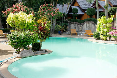 water, reflection, pool, holiday, swim, palm trees, hotel, summer, tourism, hotel complex, blue, relaxation, relax, surface, clear, transparent, fun bathing, resort, background, swimming Pool, luxury, outdoors, tourist Resort, plant, flower, flowering plant, nature, architecture, beauty in nature, built structure, poolside, front or back yard, no people, day, building exterior, growth, hot tub, ornamental garden, 5K, CC0, public domain, royalty free