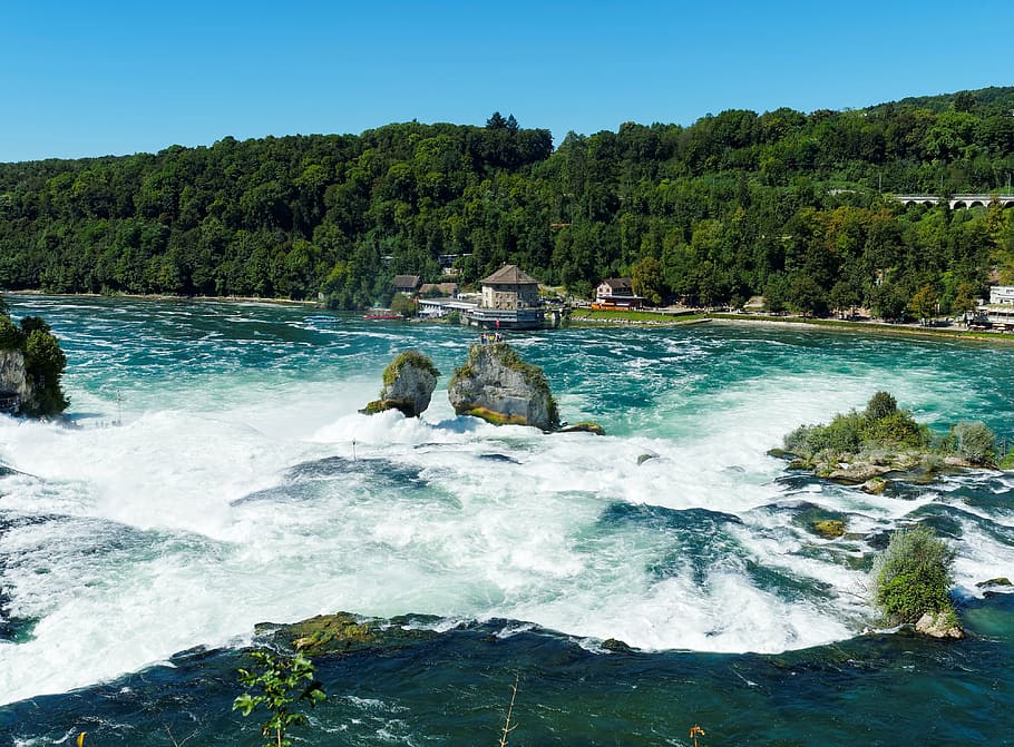 fotografia de lapse de temps, ones d’aigua, martellejar, rock, riu, cursos d'aigua, cau, ràpids, cascades, Rin, aigua, suïssa, remolí, cascada, arbre, planta, escenics - natura, bellesa a la natura, moviment, dia, naturalesa, rock - object, sòlid, terra, aigua que flueix, escena no urbana, bosc, cap gent, cel, exposició llarga, mar, a l'aire lliure, poder a la natura, que flueix, 4K