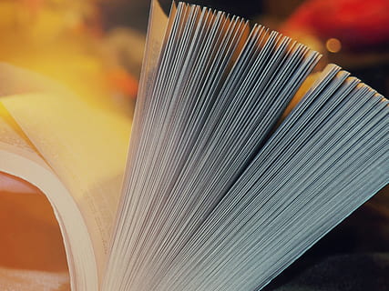 Nahaufnahmen, Buchseite öffnen, flach, fokus fotografie, öffnen, Buch, weißes Buch, Seite, Bildung, Literatur, Lernen, lesen, Bibliothek, Lehrbuch, Nahansicht, Papier-, Industrie, keine Leute, drinnen, Webstuhl, Herstellungsausrüstung, Geschäft, Veröffentlichung, Kunst und Handwerk, Fokus auf den Vordergrund, selektiver Fokus, Stillleben, Muster, Textil-, Kreativität, Vorbereitung, Kunst, Textilindustrie, Besen, 4K, CC0, gemeinfrei, lizenzfrei