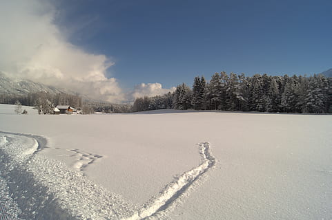 Winter, Schnee, winterlich, Baum, kalt, schneebedeckt, Winterbüsche, Weiß, Winterwald, Wintertraum, Landschaft, Wald, Licht, kalte Temperatur, draußen, Himmel, Tag, Land, Natur, Pflanze, Umgebung, Szenen - Natur, ruhige Szene, Ruhe, wolke - himmel, gefroren, Schönheit in der Natur, Nicht-städtische Szene, keine Leute, Nadelbaum, 5K, CC0, gemeinfrei, lizenzfrei