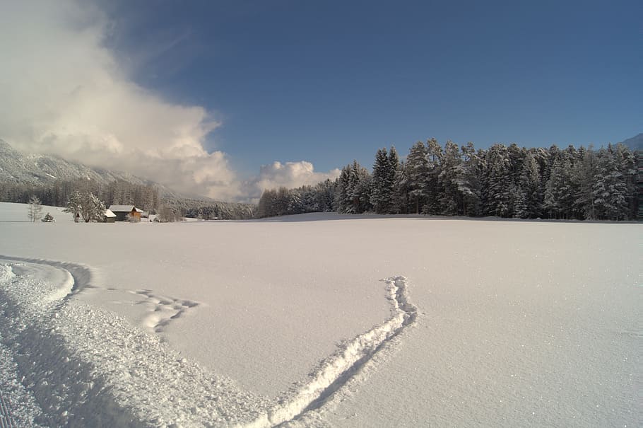 Winter, Schnee, winterlich, Baum, kalt, schneebedeckt, Winterbüsche, Weiß, Winterwald, Wintertraum, Landschaft, Wald, Licht, kalte Temperatur, draußen, Himmel, Tag, Land, Natur, Pflanze, Umgebung, Szenen - Natur, ruhige Szene, Ruhe, wolke - himmel, gefroren, Schönheit in der Natur, Nicht-städtische Szene, keine Leute, Nadelbaum, 5K