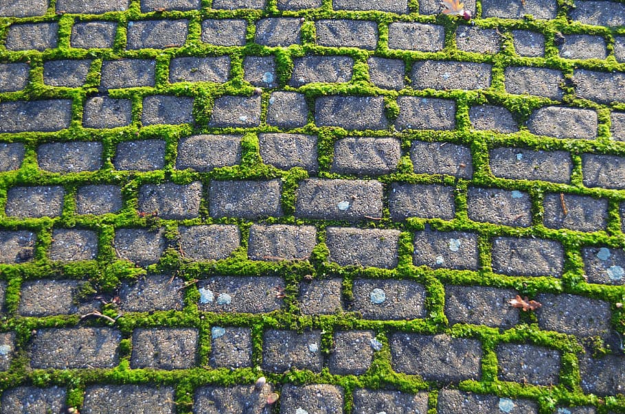 gris, concret, bloc, vell, paviment, sendera, molsa, pedra, fons, verd, llambordes, marc complet, paret de maó, a l'aire lliure, patró, textura, dia, cap gent, carrer, vista d’angle alt, primer pla, color verd, repetició, material de pedra, ciutat, paret, maó, 4K
