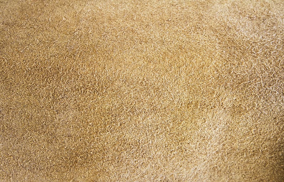híd, Textur, Muster, bräunen, Hintergründe, texturiert, Vollbild, keine Leute, Nahansicht, goldfarben, Natur, Tag, Struktureffekt, braun, Gold, abstrakt, glänzend, Beige, draußen, Ballaststoff, Material, natürliches Muster, Luxus, 4K
