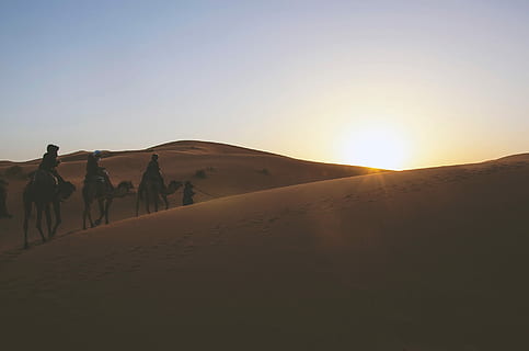 tiga, orang-orang, berkuda, unta, pencuci mulut, siang hari, gurun, bukit pasir, alam, matahari terbenam, pemandangan, gurun Sahara, Afrika, di luar rumah, pasir, kereta unta, unta dromedaris, hewan, langit, sinar matahari, matahari, lensa suar, tanah, scenics - alam, lingkungan Hidup, mamalia, binatang lokal, adegan non-urban, iklim kering, langit cerah, hewan pekerja, ketenangan, keindahan di alam, iklim, tidak ada orang, 1080P, CC0, domain publik, bebas royalti