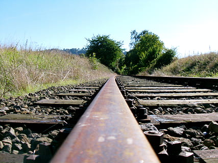 spore, tog, jernbane, jernbanespor, stål, transportmidler, jern - metal, rusten, metal, jernbanetransport, plante, himmel, faldende perspektiv, vejen frem, natur, træ, retning, dag, ingen mennesker, skyfri himmel, forsvindingspunkt, udendørs, sollys, vækst, græs, overflade niveau, lang, legering, 2K, CC0, offentligt domæne, royaltyfrie