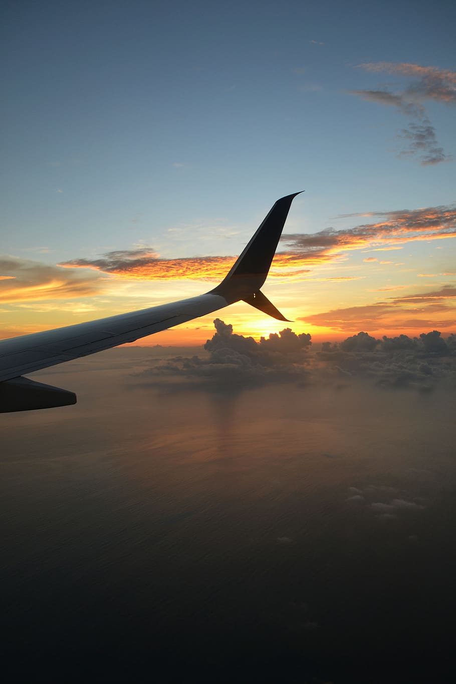 terbang, pesawat, laut, air, langit, samudra, air, Samudera Pasifik, Fajar, udara, tinggi, sayap, cahaya, sinar matahari, horison, laut, matahari terbenam, bayangan hitam, alam, awan - langit, di luar rumah, kendaraan udara, pesawat terbang, moda transportasi, sayap pesawat terbang, angkutan, warna oranye, penerbangan, keindahan di alam, scenics - alam, di udara, perjalanan, ketenangan, tidak ada orang, 4K