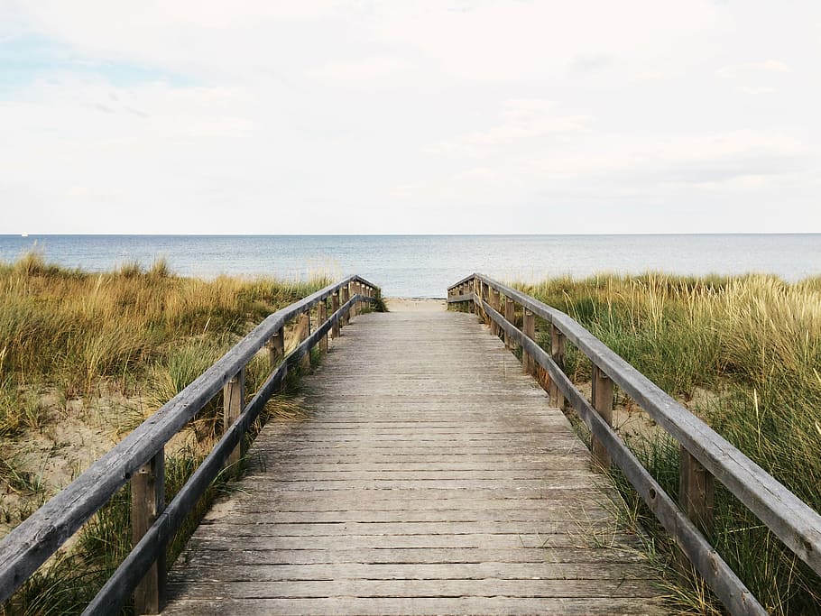 beach, grass, ocean, path, sea, seashore, sky, water, nature, footpath, outdoors, wood - Material, boardwalk, coastline, summer, tranquil scene, tranquility, scenics - nature, horizon, beauty in nature, horizon over water, railing, day, the way forward, land, plant, direction, cloud - sky, no people, diminishing perspective, wood, wood paneling, long, marram grass, 2K
