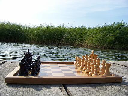 Chess, Pieces, Basic, Position, chess pieces, the basic position, staunton, statue, day, travel destinations, outdoors, no people, tree, water, sky, nature, board game, plant, chess piece, leisure games, game, representation, chess board, growth, wood - material, lake, strategy, beauty in nature, 2K, CC0, public domain, royalty free