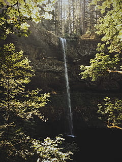 waterfalls, surrounded, trees, closeup, photography, waterfall, cliff, forest, green, tree, scenics - nature, water, plant, land, flowing water, beauty in nature, motion, long exposure, nature, day, rock, blurred motion, growth, rock - object, low angle view, no people, outdoors, flowing, rainforest, power in nature, falling water, formation, 4K, CC0, public domain, royalty free