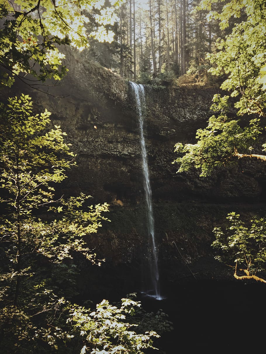 waterfalls, surrounded, trees, closeup, photography, waterfall, cliff, forest, green, tree, scenics - nature, water, plant, land, flowing water, beauty in nature, motion, long exposure, nature, day, rock, blurred motion, growth, rock - object, low angle view, no people, outdoors, flowing, rainforest, power in nature, falling water, formation, 4K
