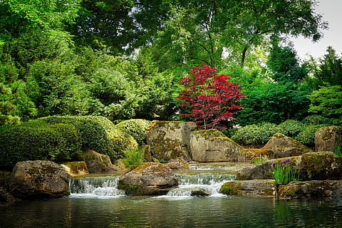 river, surrounded, green, leaf trees, nature, waters, tree, leaf, bach, garden, japanese, forest, park, romantic, plant, water, beauty in nature, growth, rock, green color, solid, scenics - nature, rock - object, formal garden, tranquility, no people, day, tranquil scene, lake, outdoors, flowing, flowing water, 5K, CC0, public domain, royalty free
