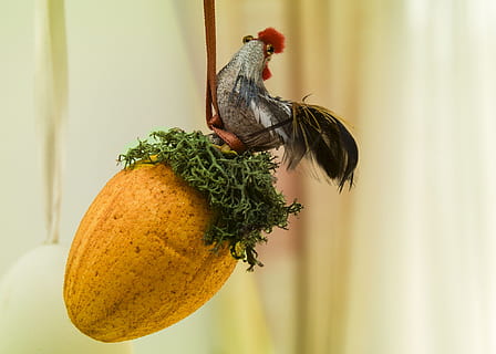 Paskah, dekorasi, telur, cat, hahn, dekorasi paskah, burung, makanan, alam, buah, kuning, tema binatang, tidak ada orang, satu binatang, dalam ruangan, merapatkan, kesegaran, makan sehat, makanan dan minuman, fokus pada latar depan, kesejahteraan, menanam, hewan, warna hijau, sayur-mayur, satwa liar hewan, binatang di alam liar, gantung, invertebrata, 1080P