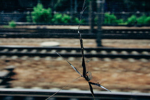 Zugfenster geknackt, geknackt, Zug, Fenster, andere, Bahngleis, Transport, draußen, keine Leute, Schutz, Tag, Fokus auf den Vordergrund, Nahansicht, Zaun, Grenze, Barriere, Natur, wirbellos, Insekt, Tiere in freier Wildbahn, Tierthemen, Spinnennetz, Stacheldraht, Metall, ein Tier, Tierwelt, Tier, Sicherheit, 4K, CC0, gemeinfrei, lizenzfrei