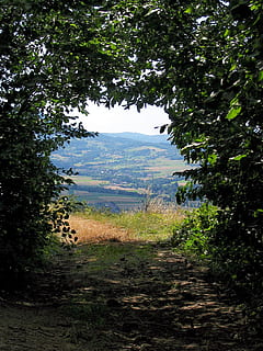 fotografia, verde, i campi, alberi, montagne, grigio, cielo, giorno, campo, piante verdi, tempo, vista, foresta, finestra, paesaggio, albero, porta, il sentiero, fogliame, confine, cornice, Beschidi, Śnieżnica, natura, nessuno, pianta, la tranquillità, bellezza nella natura, scenics - natura, terra, scena tranquilla, ambiente, scena non urbana, crescita, all'aperto, montagna, direzione, erba, 1080P, CC0, dominio pubblico, privo di copyright