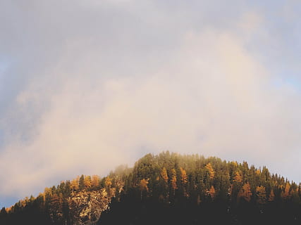 verde, maro, copaci, deal, alb, noros, cer, fotografie, cețos, Munte, nori, raza de soare, cădea, toamnă, pădure, natură, copac, nici o persoana, liniște, zi, frumusețe în natură, în aer liber, plantă, scenice - natura, o scenă liniștită, creştere, scenă non-urbană, ceaţă, nor - cer, teren, Schimbare, 5K, CC0, domeniu public, fără drepturi de autor