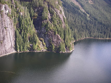 râu, Munte, pădure, vegetație, conifer, chei, abrupt, stâncă, alaska, natură, apă, frumusețe în natură, scenice - natura, o scenă liniștită, liniște, nici o persoana, malul mării, zi, scenă non-urbană, teren, idilic, plantă, copac, lac, la distanta, în aer liber, formare, curgere, erodate, 2K, CC0, domeniu public, fără drepturi de autor