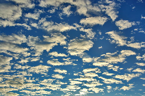 clouds, blue, sky, clouds form, white, mood, blue sky, cumulus clouds, cloud - sky, beauty in nature, backgrounds, scenics - nature, tranquility, no people, nature, tranquil scene, idyllic, day, full frame, cloudscape, low angle view, outdoors, environment, sunlight, white color, meteorology, 4K, CC0, public domain, royalty free