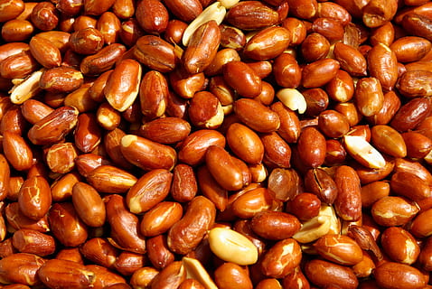 cacahuetes, frutos secos, miseria, fruta seca, comida y bebida, comida, marrón, nadie, fotograma completo, alimentación saludable, gran grupo de objetos, abundancia, frescura, antecedentes, bienestar, naturaleza muerta, de cerca, nuez, adentro, nuez - comida, rojo, Fruta, frijol, en venta, familia de leguminosas, bocadillo, 4K, CC0, dominio público, libre de derechos