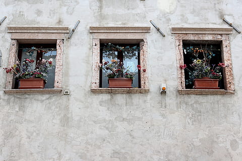 vindue, gammel, gammelt vindue, facade, historisk, forvitret, træ, glas, slå op, bygning, trævinduer, gammel by, vinduesrammer, åben, vinduesdekorationer, blomsterkasse, arkitektur, bygget struktur, bygning udvendig, dag, murbygningsfunktion, ingen mennesker, potteplante, plante, lav vinkel visning, udendørs, boligområde, hus, natur, blomst, blomstrende plante, væg, vindues boks, blomsterkrukke, 4K, CC0, offentligt domæne, royaltyfrie
