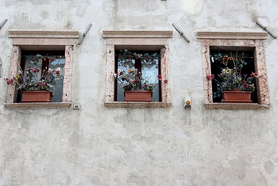 finestra, vell, finestra antiga, façana, històricament, resistent, fusta, vidre, trencar, edifici, finestres de fusta, barri antic, marcs de finestres, obert, decoracions de finestres, caixa de flors, arquitectura, estructura construïda, exterior de l'edifici, dia, funció de construcció de parets, cap gent, planta en test, planta, vista d’angle baix, a l'aire lliure, barri residencial, casa, naturalesa, flor, planta amb flors, paret, caixa de finestra, test de flor, 4K