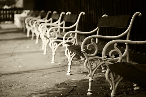 banc, marró, buit, jardí, metall, vell, buit, jardí, a l'aire lliure, parc, descans, seient, fusta, forjat, ferro, bancs, cadira, en fila, passat de moda, cap gent, absència, centrar-se en primer pla, material de fusta, repetició, arranjament, a l'interior, gran grup d'objectes, ordre, dia, negocis, sòls, sendera, enfocament selectiu, cultura i entreteniment artístic, 5K, CC0, domini públic, lliure de regalies