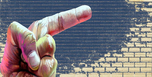finger, suggest, interpretation, note, show, hand, day, outdoors, close-up, no people, flower, flowering plant, freshness, nature, petal, fragility, vulnerability, beauty in nature, plant, growth, inflorescence, high angle view, flower head, architecture, sunlight, still life, 2K, CC0, public domain, royalty free