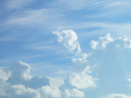 hvid, skyer, blå, himmel, Sky, plads, celeste, bomuld, blå himmel, storm, sky - himmel, natur, skønhed i naturen, hvid farve, ingen mennesker, kun himmel, dag, scenics, scenics - natur, ro, baggrunde, idyllisk, rolig scene, cloudscape, udendørs, lav vinkel visning, fluffy, miljø, sollys, atmosfære, meteorologi, vind, blødhed, 1080P, CC0, offentligt domæne, royaltyfrie