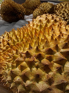 textura, žlutá, ostrý, jídlo a pití, jídlo, detail, nikdo, svěžest, uvnitř, vzor, tropické ovoce, ananas, ovoce, Zdravé stravování, zaměřit se na popředí, špičatý, celý rám, blahobyt, růst, Příroda, den, stálý život, přírodní vzor, 2K, CC0, veřejná doména, bez autorských práv