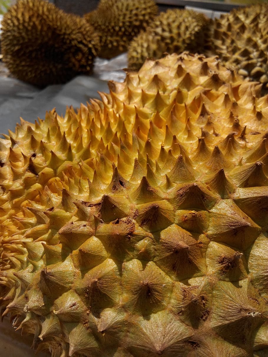 textura, žlutá, ostrý, jídlo a pití, jídlo, detail, nikdo, svěžest, uvnitř, vzor, tropické ovoce, ananas, ovoce, Zdravé stravování, zaměřit se na popředí, špičatý, celý rám, blahobyt, růst, Příroda, den, stálý život, přírodní vzor, 2K