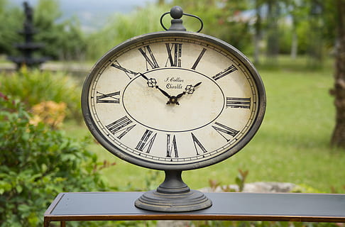 analog desk clock, 1:51, time, table, scorpion, hand, style, macro, goods, dial, decor, souvenir, artifact, genre, background, gift, ornament, expensive, clock, number, circle, shape, geometric shape, focus on foreground, accuracy, no people, clock face, close-up, minute hand, day, nature, outdoors, instrument of time, tree, clock hand, plant, hour hand, 5K, CC0, public domain, royalty free