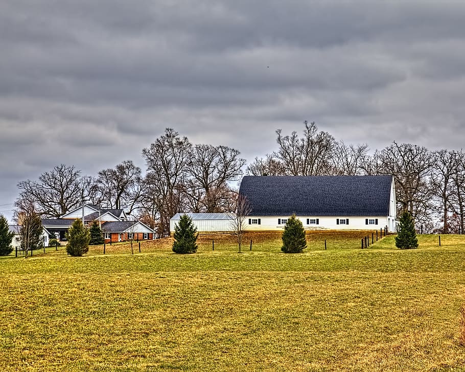 graner, rústic, graners, ohio, art digital, rural, escènic, país, camp, paisatge, cobert, coberts, granja, granges, agricultura, agrícola, Masia, campanar, comtat, americana, foto, fotografia, estructura, estructures, sturgell, William Sturgell, factura sturgell, històric, decoració de la llar, edificis, núvols, cel, arbre, arbres, ennuvolat, cels, males herbes, comtat del campanar, urbana, exterior de l'edifici, planta, arquitectura, herba, estructura construïda, núvol - cel, terra, naturalesa, edifici, casa, dia, barri residencial, escena rural, a l'aire lliure, cap gent, 4K