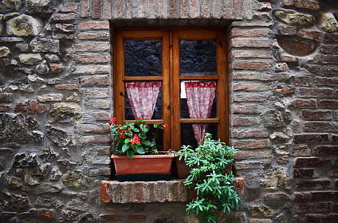 grøn, potteplanter, planter, foran, lukket, vindue, rød, petaled blomst, ved siden af, Brun, vinduesramme, væg, struktur, blomst, gamle bygning, bygget struktur, arkitektur, bygning udvendig, plante, bygning, potteplante, murbygningsfunktion, ingen mennesker, hus, dag, træ - materiale, vækst, blomstrende plante, udendørs, murstens væg, mursten, natur, dør, Stenmur, blomsterkrukke, vindues boks, 5K, CC0, offentligt domæne, royaltyfrie