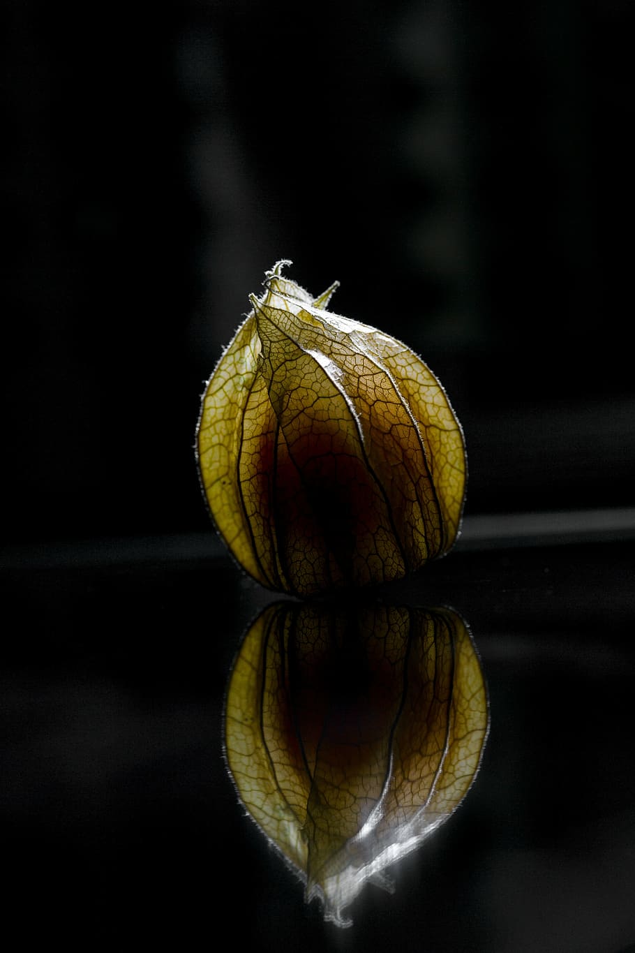physalis, macro, tancar, fruita, saludable, menjar, groc, vitamines, afruitat, menjar i beguda, alimentació saludable, fons negre, cap gent, primer pla, reflexió, tir de l'estudi, frescor, benestar, a l'interior, centrar-se en primer pla, natura morta, cirera d’hivern, sol objecte, planta, orgànic, naturalesa, enfocament selectiu, Fruits secs, madur, 5K