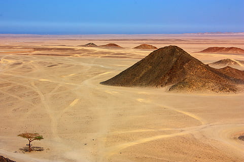 desert, sand, tree, mountain, hill, africa, egypt, sand dunes, drought, landscape, vehicle tracks, traces, rock, dry, arid, karg, land, scenics - nature, environment, nature, climate, sky, travel destinations, sand dune, arid climate, travel, beauty in nature, clear sky, no people, tranquility, outdoors, day, 4K, CC0, public domain, royalty free