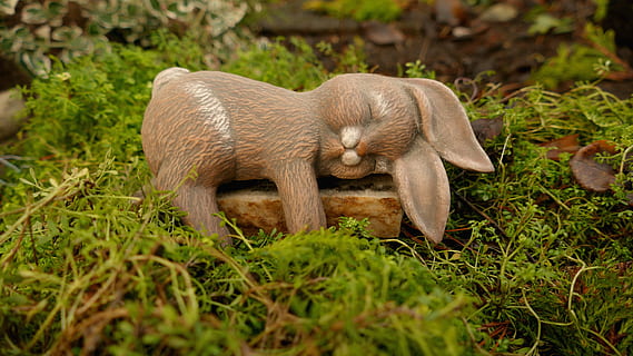 Ostern, Osterhase, Osterhase, Ostern, Osterhase schläft, Osterfigur, Zahl, Hase, Osterdekoration, Urlaub, Süss, ein Tier, Tierthemen, Tierwelt, keine Leute, Säugetier, Tiere in freier Wildbahn, Tier, Pflanze, Gras, Land, Wirbeltier, Feld, Tag, Natur, Haustiere, Jungtier, grüne Farbe, braun, draußen, pflanzenfressend, 5K, CC0, gemeinfrei, lizenzfrei