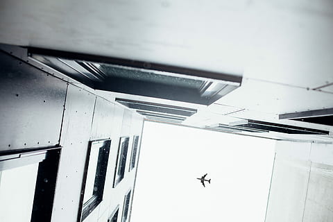 lav, vinkel, arkitektoniske, fotografering, bygninger, fly, lav vinkel, arkitektonisk fotografering, indendørs, ingen mennesker, transportmidler, vindue, flyvende, luftfartøj, dyr, lav vinkel visning, dyre temaer, arkitektur, transportform, fugl, et dyr, hvirveldyr, dyr i naturen, dyreliv, Midt i luften, rejse, kommerciel flyvemaskine, dag, udendørs, luftfartsindustrien, direkte under, 5K, CC0, offentligt domæne, royaltyfrie