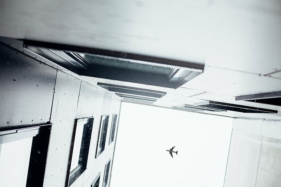 gris, avió, cel, edifici, estructura, infraestructura, finestra, establiment, hotel, ciutat, urbà, arquitectura, art, vidre, gratacels, blanc i negre, volant, transport, vehicle aeri, temes d'animals, cap gent, a l'interior, avió comercial, vista d’angle baix, manera de transport, viatjar, animal, a l'aire, indústria aeroespacial, vidre - material, un animal, viatge, vol, directament a sota, 5K