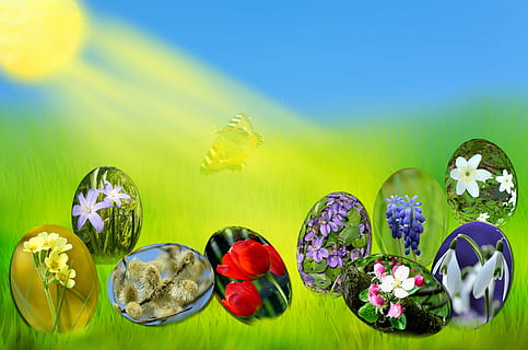 Pasqua, uova, primavera, sole, erba, verde, cielo, blu, luce, primula, tulipano, viola, muscari, bucaneve, anemone, salice, bocciolo di mela, fioritura, frusta, fiori, fogliame, prato, natura, farfalla, sfondi, estate, fiore, illustrazione, freschezza, pianta fiorita, pianta, bellezza nella natura, sfondo colorato, multicolore, giallo, nessuno, girato in studio, colore verde, colore vibrante, in casa, scelta, variazione, natura morta, avvicinamento, fragilità, composizione floreale, testa di fiore, lusso, sfondo verde, mazzo, luminosa, 4K, CC0, dominio pubblico, privo di copyright
