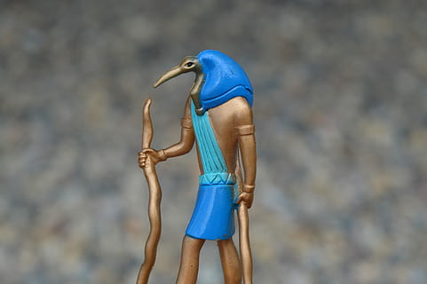 grunt, fokus fotografering, anubis innredning, Thoth, egyptisk, gud, det gamle Egypt, egyptisk, Gud, historisk, nebb, arkeologi, mytologi, blå, sidevisning, dag, utendørs, ingen folk, nærbilde, fokusere på forgrunnen, ett dyr, dyre temaer, dyr, dyreliv, fugl, dyr i naturen, virveldyr, land, natur, representasjon, tre kvart lengde, tre - materiale, kreativitet, 5K, CC0, offentlig domene, opphavsrett gratis