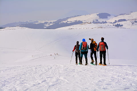 amici, group, walk, excursion, snow, winter, cold, mountain, cold temperature, group of people, leisure activity, adventure, sport, real people, full length, scenics - nature, mountain range, men, winter sport, lifestyles, beauty in nature, clothing, nature, vacations, warm clothing, snowcapped mountain, ski-wear, 5K, CC0, public domain, royalty free