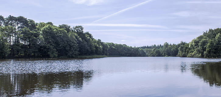 lago, foresta, riflessione, paesaggio, natura, albero, acqua, pianta, bellezza nella natura, cielo, la tranquillità, scenics - natura, scena tranquilla, nuvola - cielo, nessuno, scena non urbana, giorno, ambiente, idilliaco, crescita, all'aperto, bosco, Pino, scia di vapore, albero di conifere, bosco di pini, lago di riflessione, 2K, CC0, dominio pubblico, privo di copyright