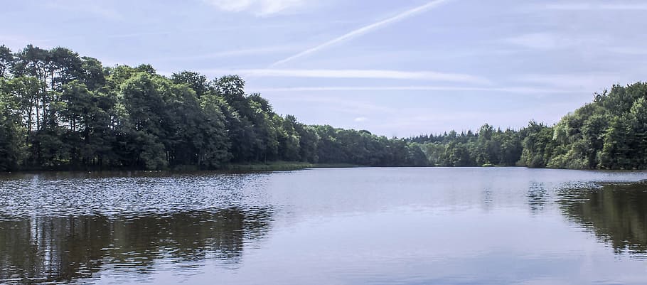 lago, foresta, riflessione, paesaggio, natura, albero, acqua, pianta, bellezza nella natura, cielo, la tranquillità, scenics - natura, scena tranquilla, nuvola - cielo, nessuno, scena non urbana, giorno, ambiente, idilliaco, crescita, all'aperto, bosco, Pino, scia di vapore, albero di conifere, bosco di pini, lago di riflessione, 2K