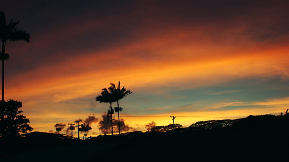 silueta, arbre, blau, cel, posta de sol, arbres, núvols, vermell, arbres de coco, Hawaii, palmell, naturalesa, sol, paisatge, sortida del sol, estiu, viatjar, Palmera, palmeres, aigua, platja, taronja, vespre, mar, oceà, tarda, a l'aire lliure, tropical, llum solar, escena, bosc, festa, vacances, escènic, al matí, paradís, parc, natural, núvol - cel, bellesa a la natura, escenics - natura, tranquil·litat, escena tranquil·la, color taronja, planta, cel dramàtic, cap gent, medi ambient, idíl·lic, escena no urbana, cel romàntic, arbre de coníferes, 4K, CC0, domini públic, lliure de regalies