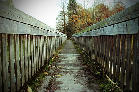 photo, marron, en bois, échelle, pont, le web, une façon, chemin, décision, limite, opportunité, direction, choix, sombre, incertain, mystique, enge, alternative, la perspective, la voie à suivre, perspective décroissante, personne, architecture, structure construite, arbre, la nature, sentier, plante, journée, en plein air, forêt, terre, bois - matériau, balustrade, l'automne, Point de fuite, route, saleté, longue, 5K, CC0, domaine public, libre de droits