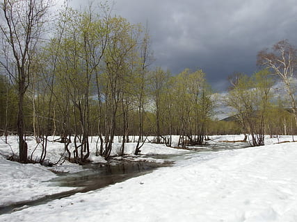 forår, vinter, greens, sommer, smeltevand, bæk, sne, snedriver, birk, natur, landskab, bjerge, himmel, træer, rejse, Kamchatka, halvø, kold temperatur, træ, udendørs, plante, sky - himmel, ro, skønhed i naturen, scenics - natur, jord, rolig scene, miljø, ingen mennesker, ikke-urbane scene, hvid farve, bare træ, skov, snedækket bjerg, 1080P, CC0, offentligt domæne, royaltyfrie