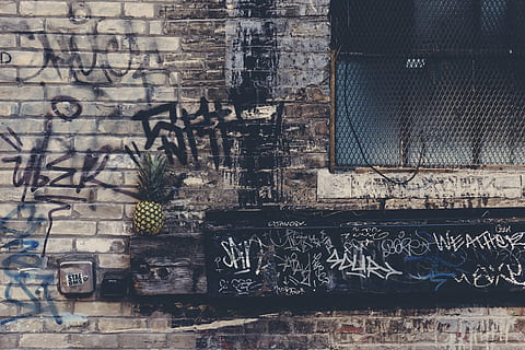 negro, parrillas de ventana de acero, ladrillos, edificio, sucio, Fruta, pintada, piña, vandalismo, pared, día, nadie, arquitectura, adentro, exterior del edificio, de cerca, estructura construida, pared - característica de la construcción, pared de ladrillo, ladrillo, luz del sol, antiguo, texto, al aire libre, escalera, abandonado, sombra, Distrito residencial, 5K, CC0, dominio público, libre de derechos