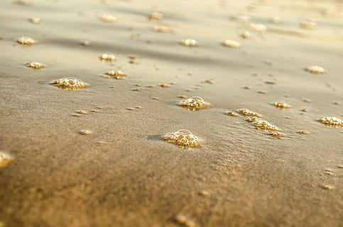 spiaggia, bollente, bolla, cerchio, avvicinamento, costa, freddo, dettaglio, sporco, ambiente, ambientale, fluente, schiuma, schiumoso, verde, Salute, igiene, luce, liquido, naturale, natura, modello, inquinata, inquinamento, il giro, sabbia, mare, estate, terra, nessuno, messa a fuoco selettiva, acqua, giorno, fotogramma intero, la tranquillità, bellezza nella natura, vista dall'alto, sfondi, all'aperto, bagnato, luce del sole, livello di superficie, 1080P, CC0, dominio pubblico, privo di copyright