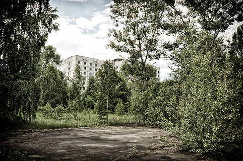 bianca, calcestruzzo, costruzione, alberi, giorno, Pripyat, chernobyl, albero, pianta, architettura, natura, struttura costruita, cielo, nessuno, crescita, esterno dell'edificio, nuvola - cielo, all'aperto, colore verde, terra, direzione, bellezza nella natura, strada, città, mezzi di trasporto, 4K, CC0, dominio pubblico, privo di copyright