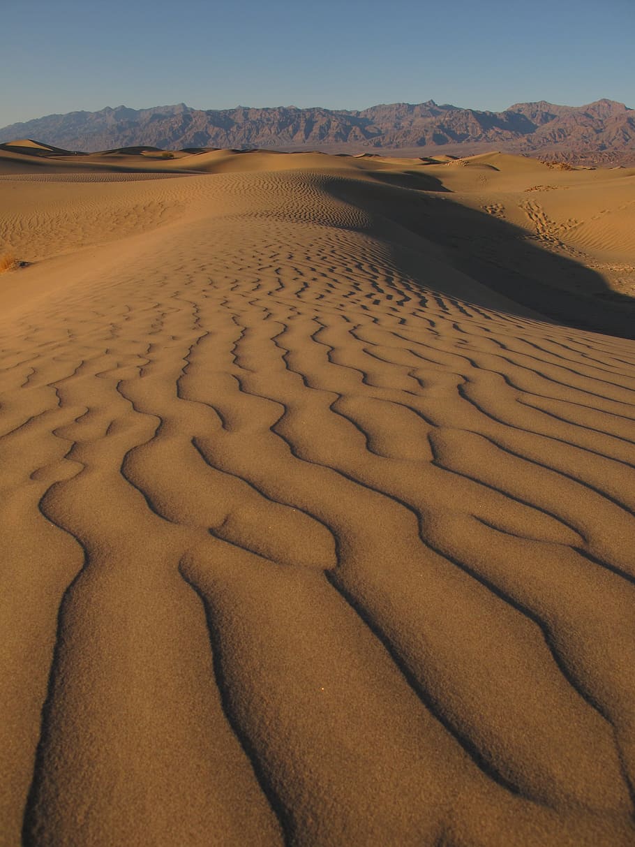 deserto, duna, sabbia, duna di sabbia, asciutto, natura, clima arido, paesaggio, Paesaggi, terreno estremo, nessuno, Deserto del Sahara, all'aperto, calore - temperatura, siccità, terra, scenics - natura, clima, ambiente, la tranquillità, scena tranquilla, bellezza nella natura, a distanza, cielo, scena non urbana, modello, giorno, modello naturale, atmosferico, 4K